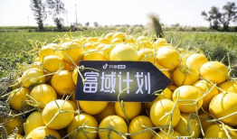 抖音肉肉526吃瓜爆料,吃瓜爆料背后的真相